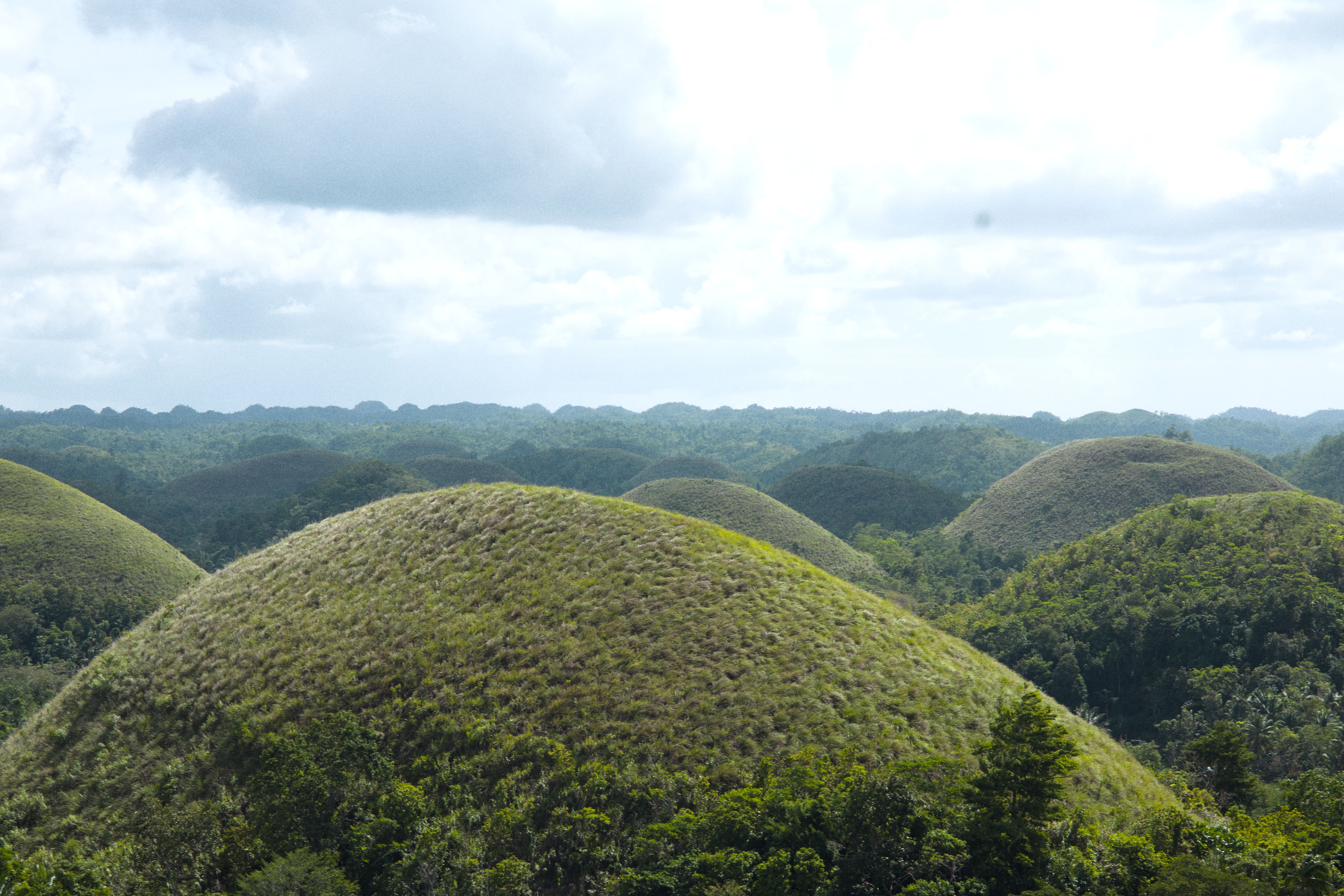Bohol Trip